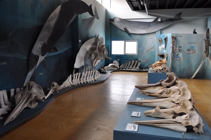 Estancia Harberton Museum Admission Ticket - imagen #6