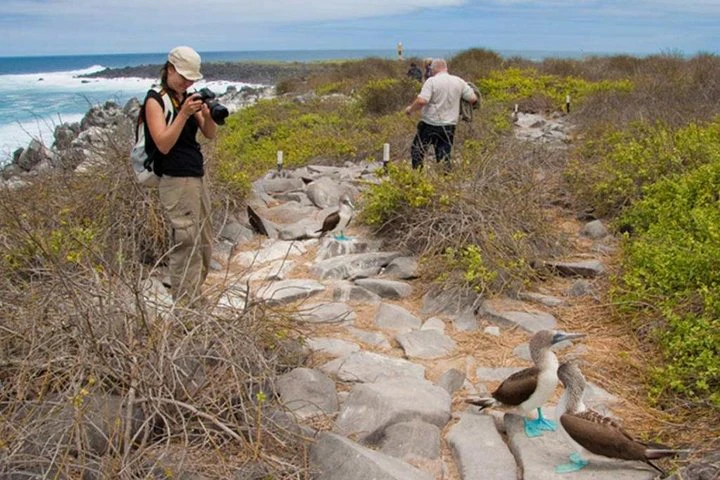 Excursión de día completo a Seymour, la Isla Norte y Las Bachas - imagen #8