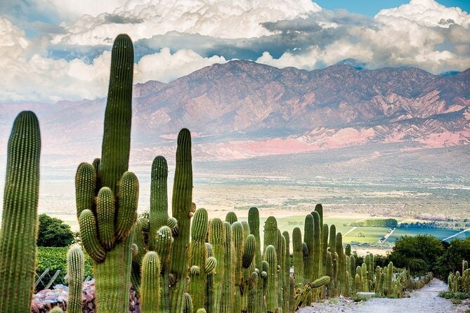 5-Day Salta Private Luxury Trip - imagen #8
