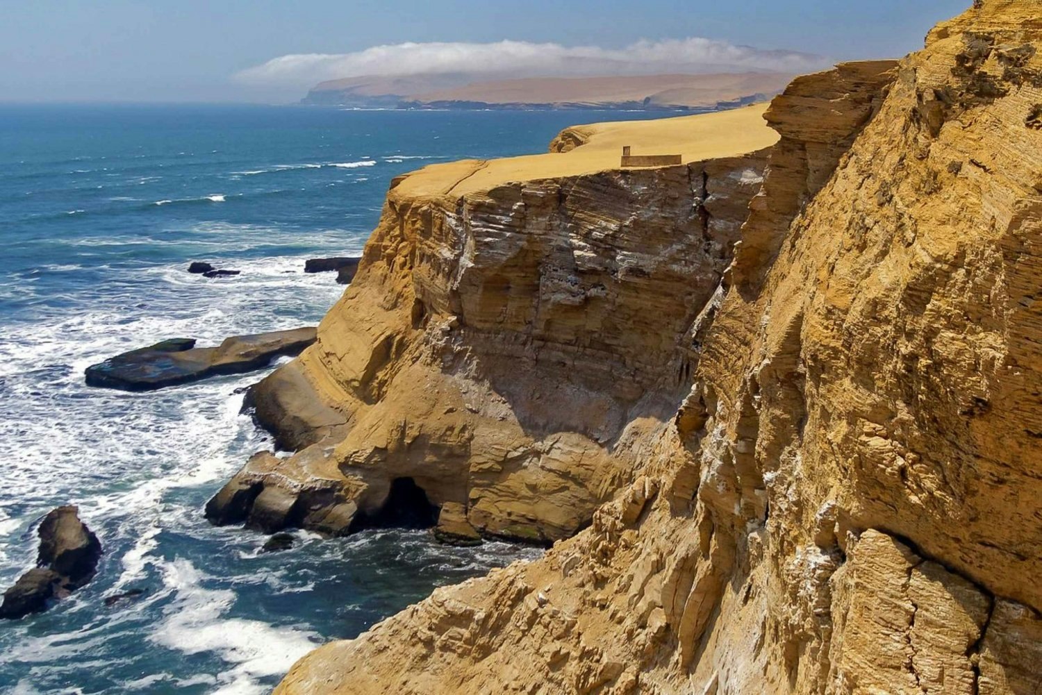 Par-02 : Ballestas Islands & Paracas Reserve - Full Day Escape - imagen #6