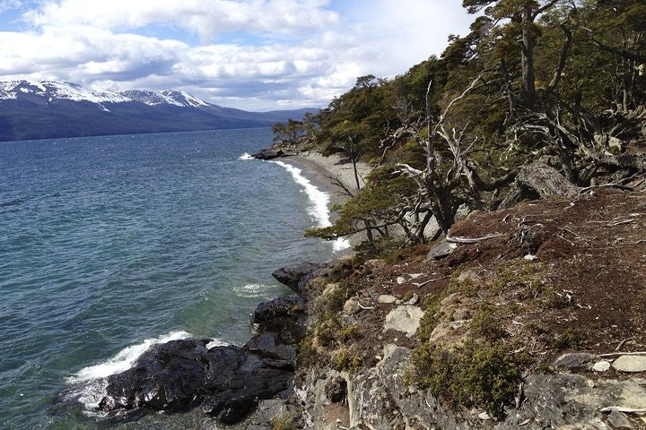 Tierra del Fuego Eco-Adventure: Beagle Channel Canoeing, Penguin Colony and Gable Island - imagen #5
