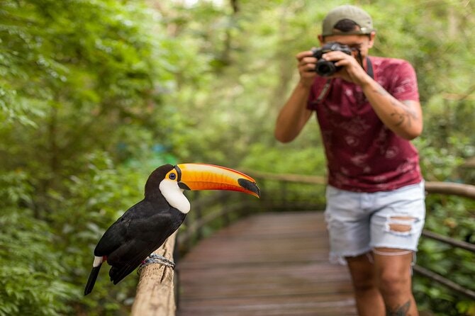 Iguazu Falls Brazilian Side & Bird Park from Puerto Iguazu - imagen #8