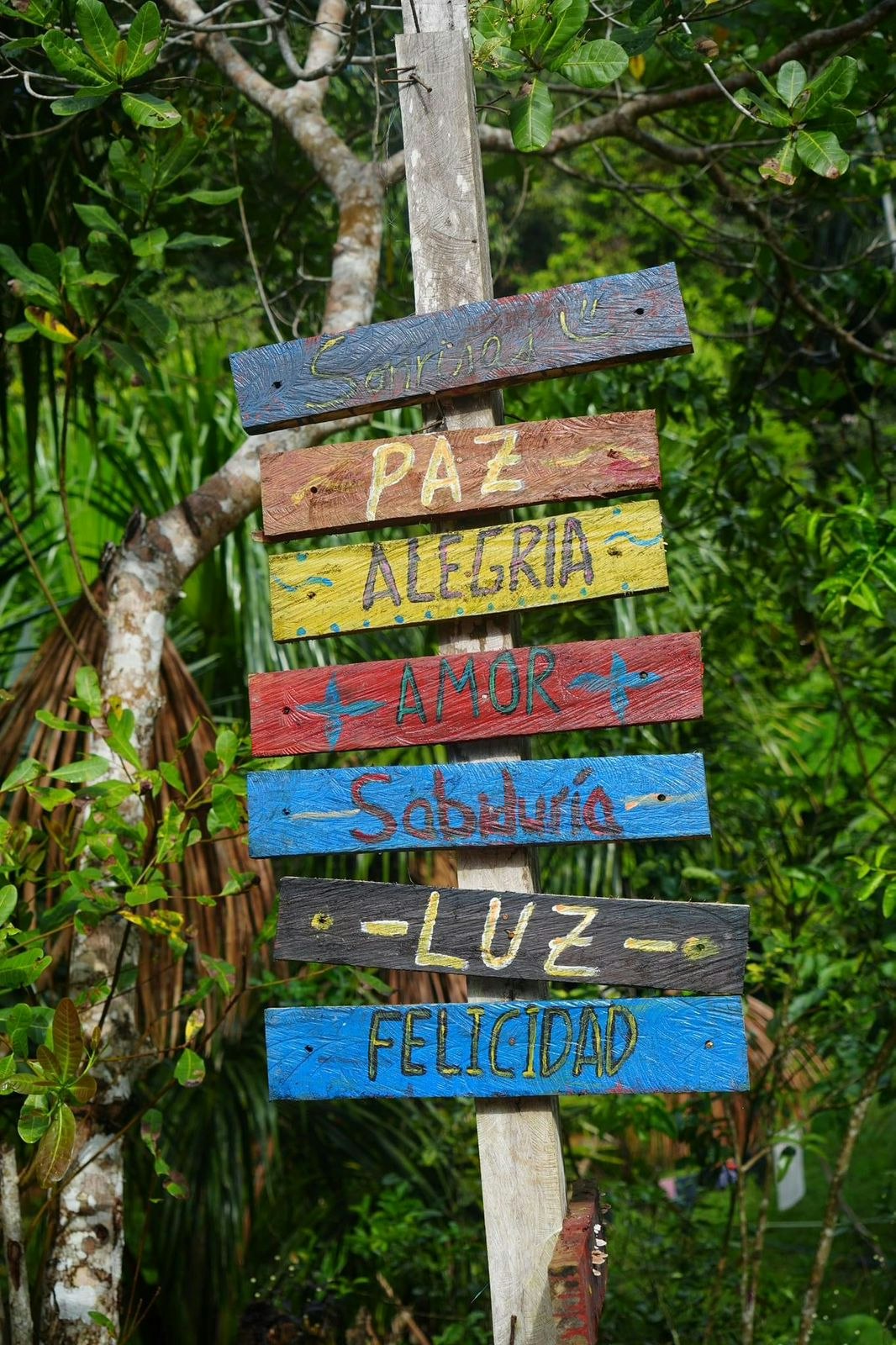 Cus-24 : Ayahuasca Discover - 1 Day of Self-Discovery - imagen #8