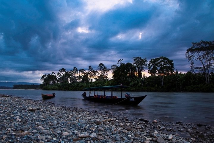 4-Day Manu Jungle Trip from Cusco