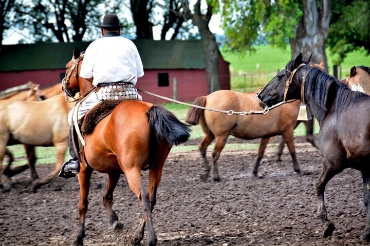 Gaucho Day Trip from Buenos Aires: Santa Susana Ranch - imagen #18