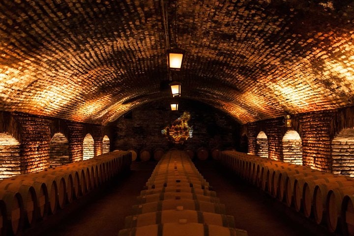 7-Day Santiago & Easter Island Tour - imagen #7