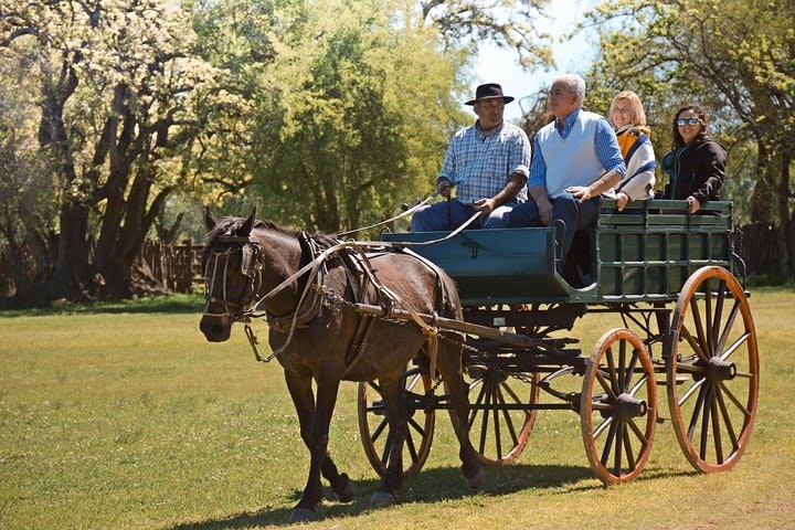 Excursión privada de un día a una estancia argentina - imagen #4