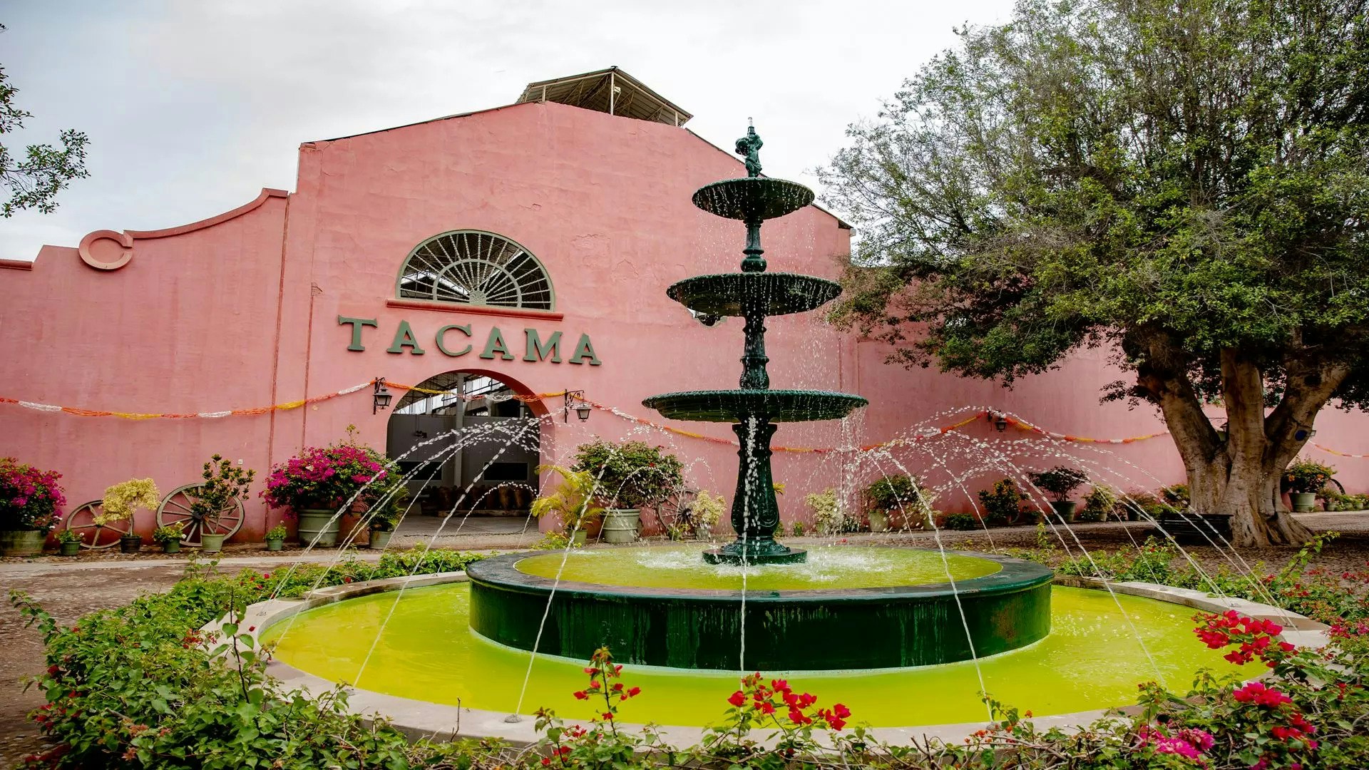 Ica-03 : Pisco and Wine Tasting Tour - Embarking on the Pisco Route - imagen #9