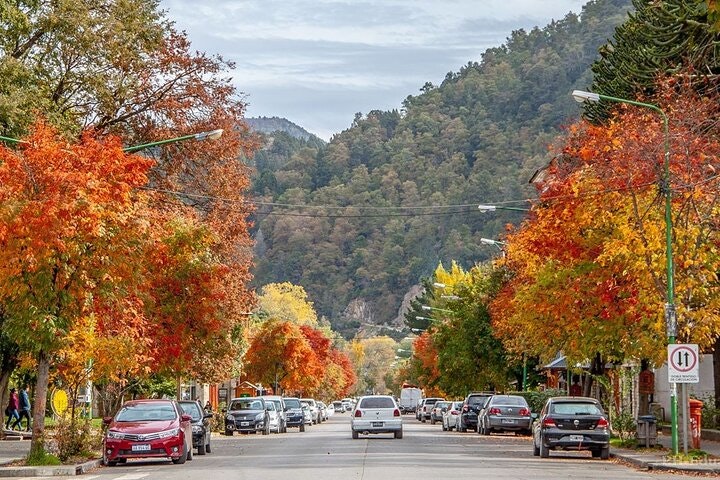 San Martin de los Andes and the Seven Lakes Day Trip from Bariloche - imagen #17