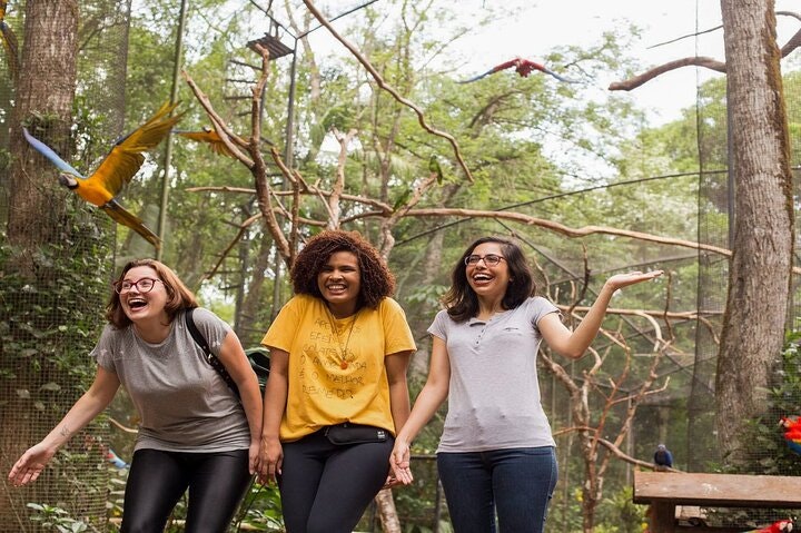 Iguazu Falls Brazilian Side & Bird Park from Puerto Iguazu - imagen #10