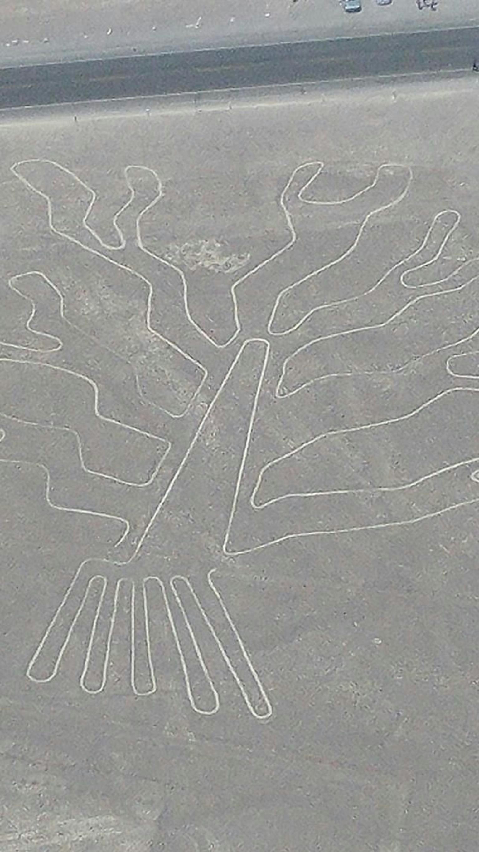 Excursión de día completo a las Líneas de Nazca desde Lima (autobús y vuelo) - imagen #7