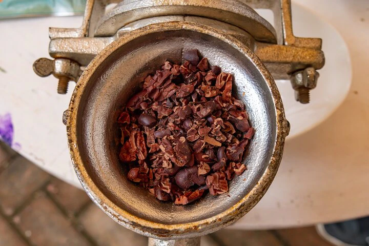 Cacao Farm Excursion Day Trip from Guayaquil - imagen #15
