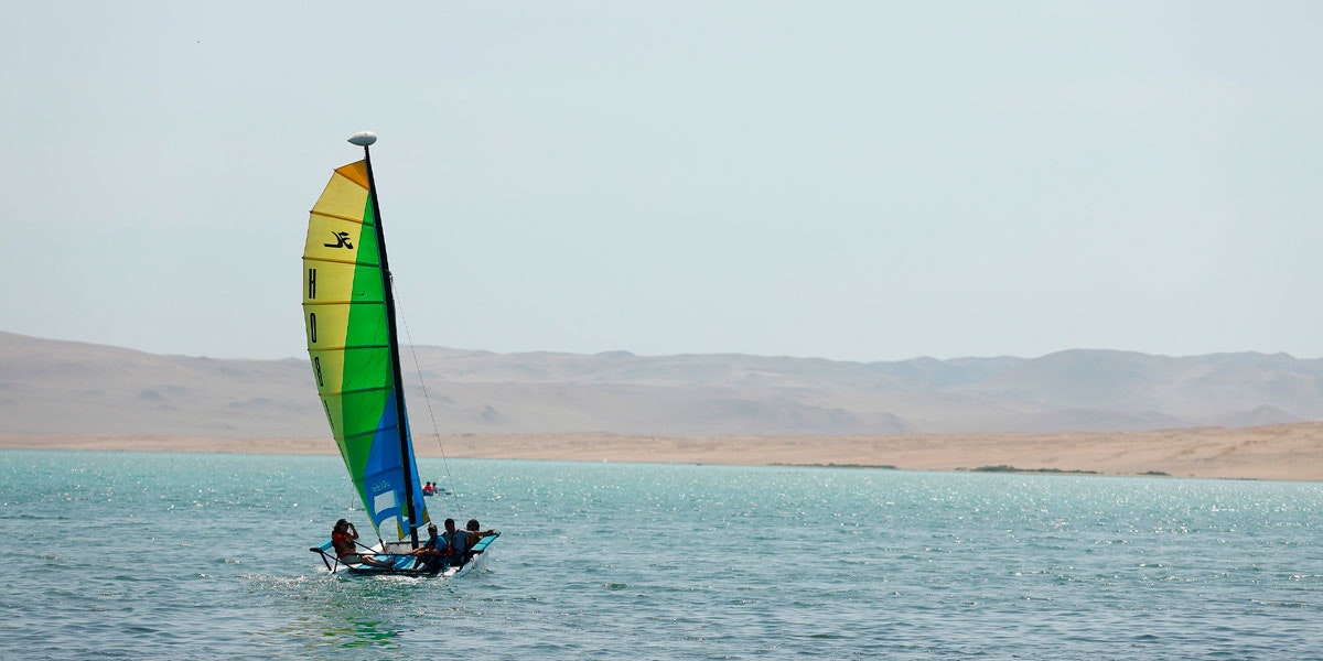 Par-05: Navega en catamarán - Descubre la bahía de Paracas - imagen #3
