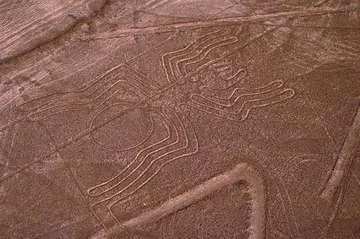 Nazca Lines & Ballestas Islands Private Full Day Tour from Lima - imagen #9