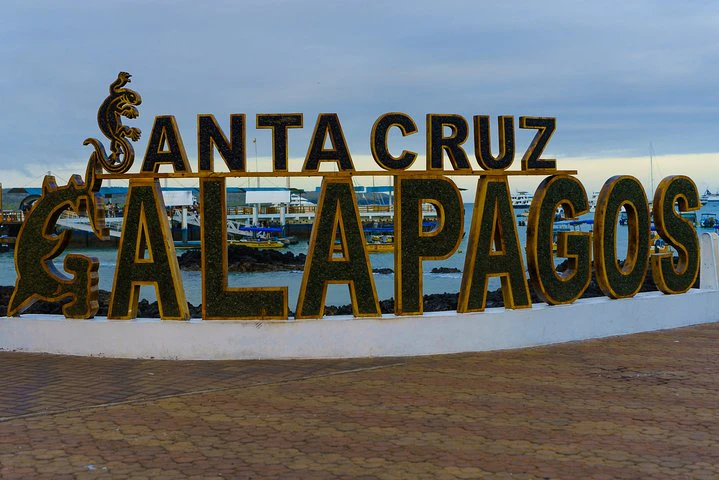 Traslado del aeropuerto al hotel con excursiones en la isla de Santa Cruz - imagen #6