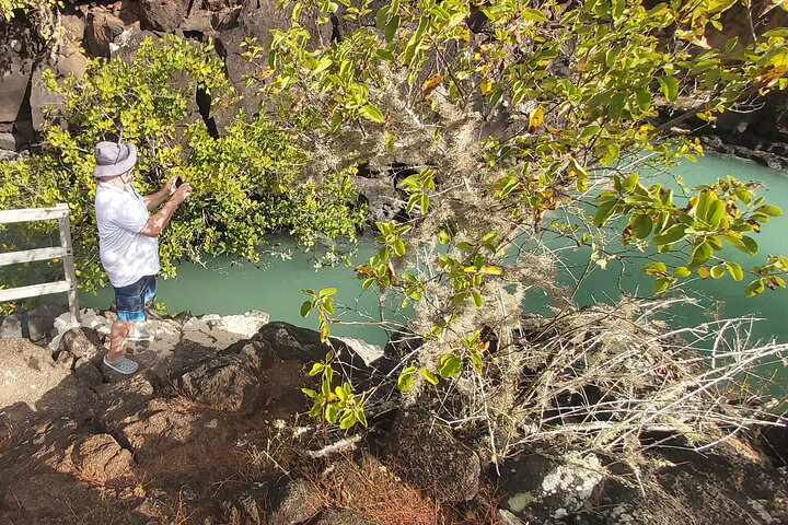 Viaje de 12 días por Ecuador y las Galápagos: aventura y cultura - imagen #10