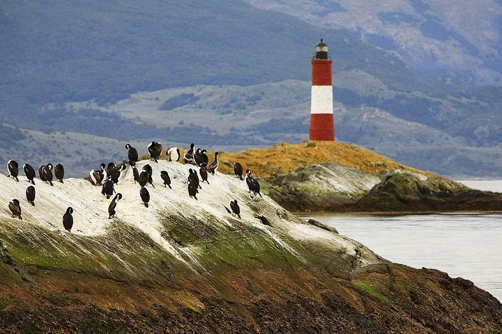 Beagle Channel Sailing Experience on a Catamaran - imagen #6