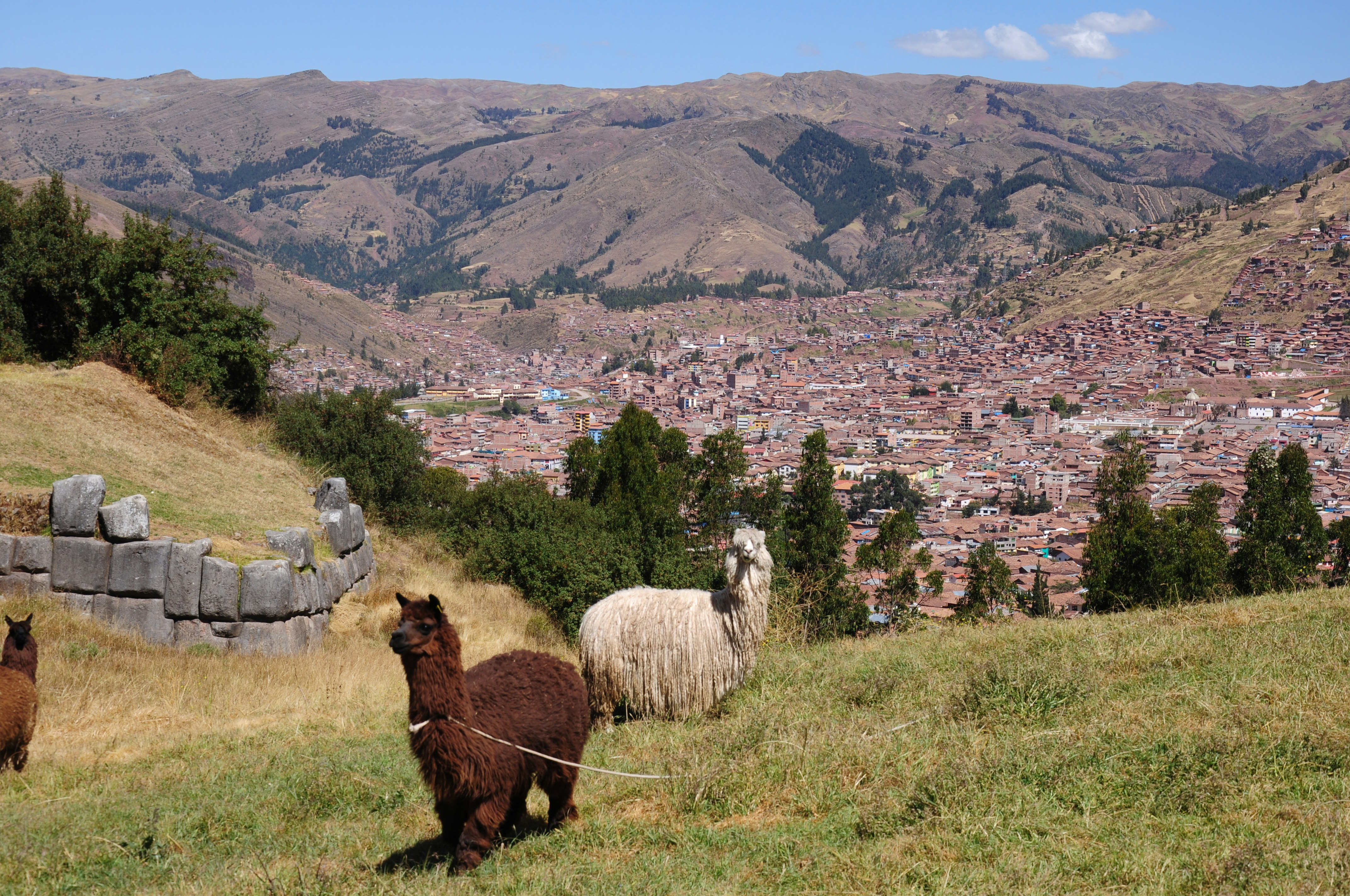 Sacsayhuaman Inca´s temple, Tambomachay, Puca Pucara Half-Day Tour - imagen #8