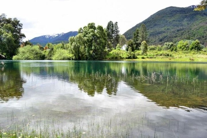 Hua Hum Day Trip from San Martin de los Andes including Lanin National Park - imagen #2