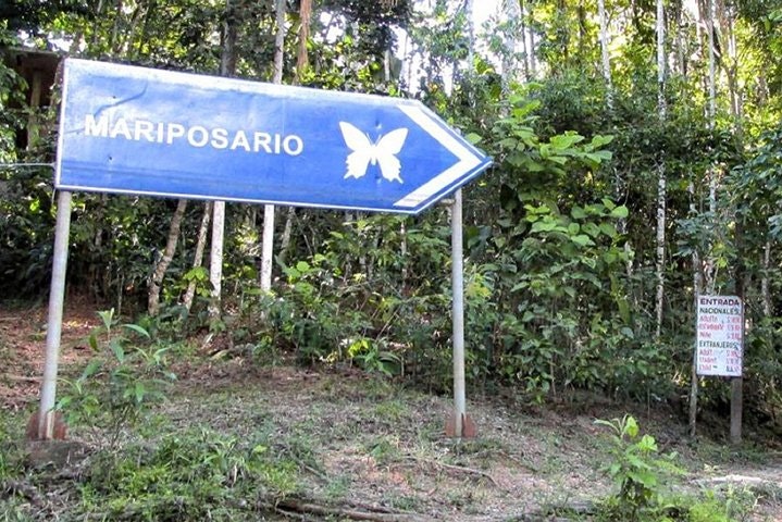 Pilpintuwasi Butterfly Farm and Native Tribes - imagen #2