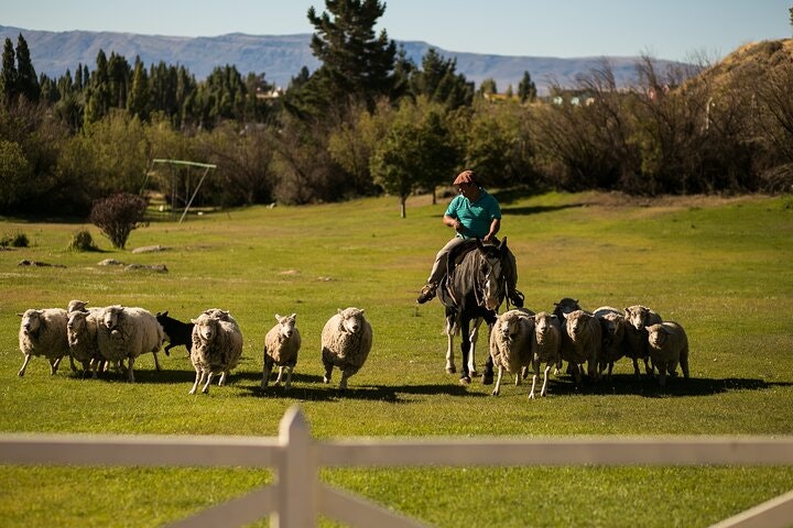 2-Day El Calafate Escape with Optional Airfare from Buenos Aires - imagen #4