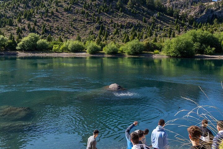 Bariloche Circuito Grande Sightseeing Tour - imagen #10