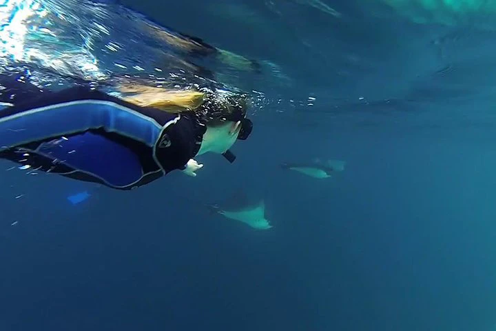 Día completo en Kicker Rock - imagen #4
