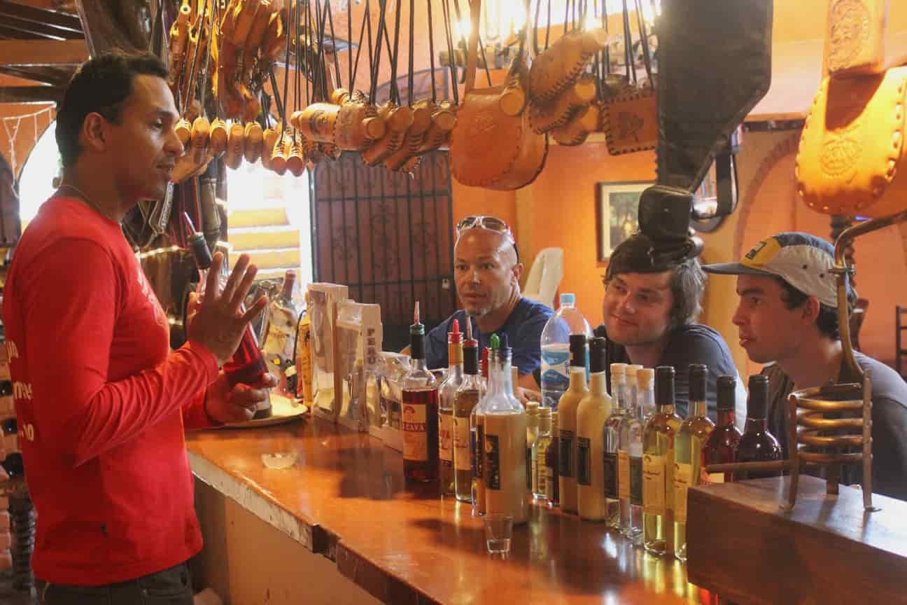 Ica-03 : Pisco and Wine Tasting Tour - Embarking on the Pisco Route - imagen #14