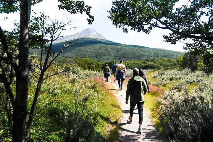 Half-Day Small-Group Tierra del Fuego National Park Tour - imagen #8