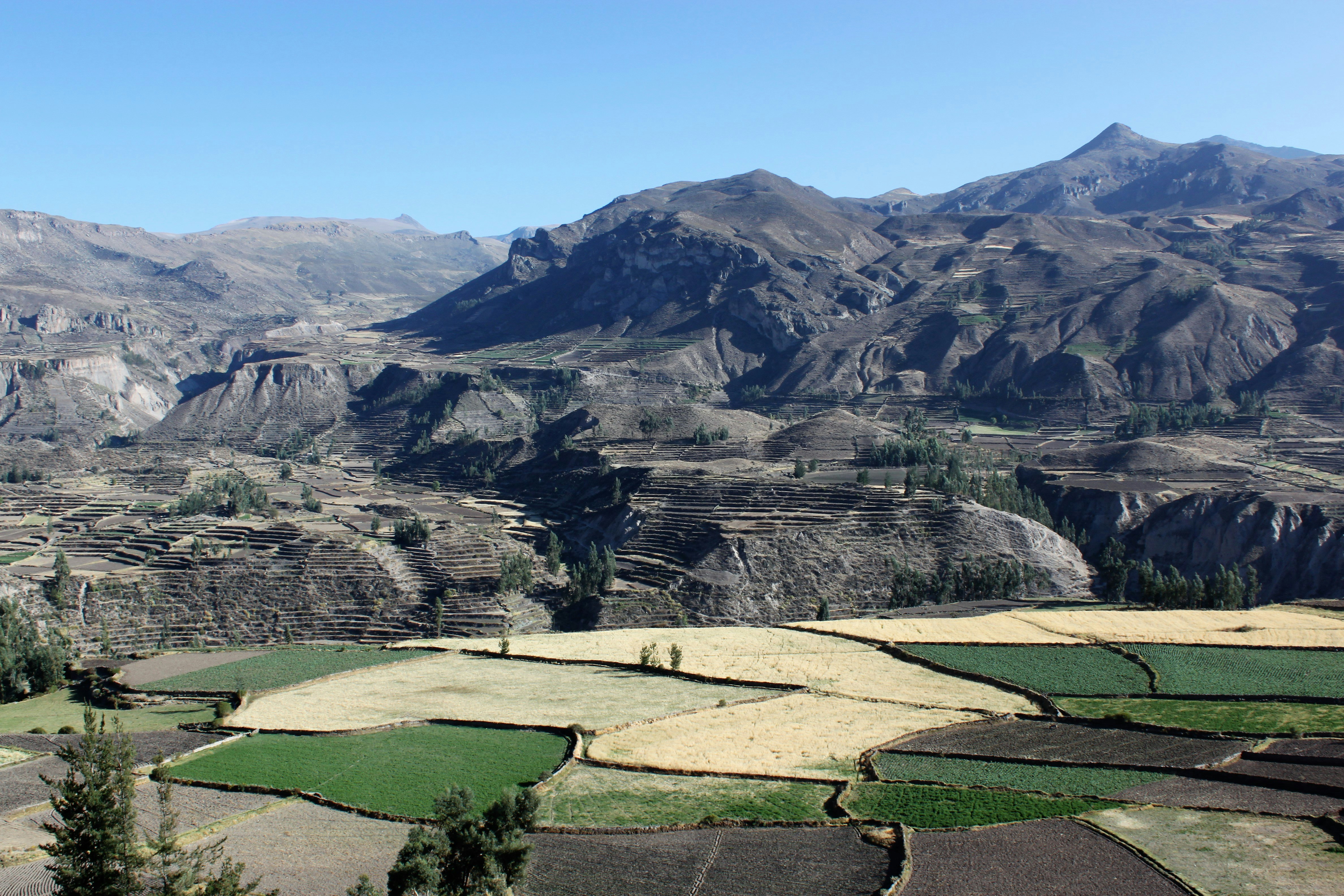 2-Day Flight of Condor on Colca Canyon from Arequipa - imagen #6