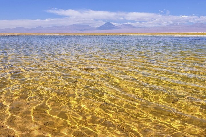 13-Day Tour Chile from North to South - imagen #15