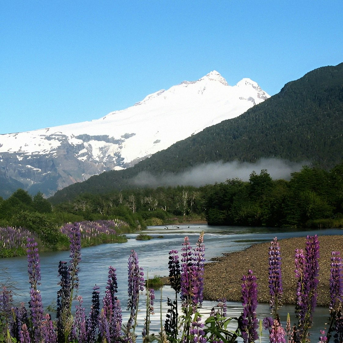 Discover Bariloche: 4 Days of Mountains and Lakes - imagen #9
