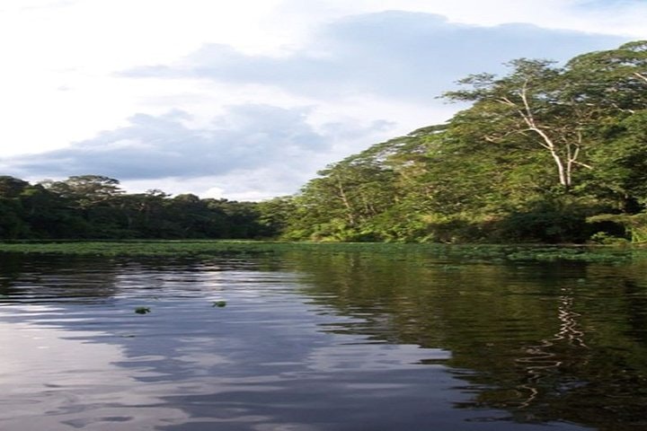 Lodge in the Jungle of Pacaya Samiria 3 Day Tour in Iquitos - imagen #4