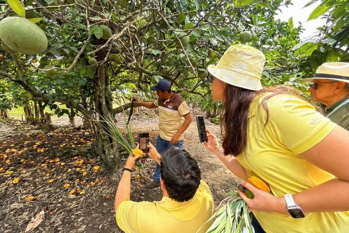 Cacao Farm Excursion Day Trip from Guayaquil - imagen #21