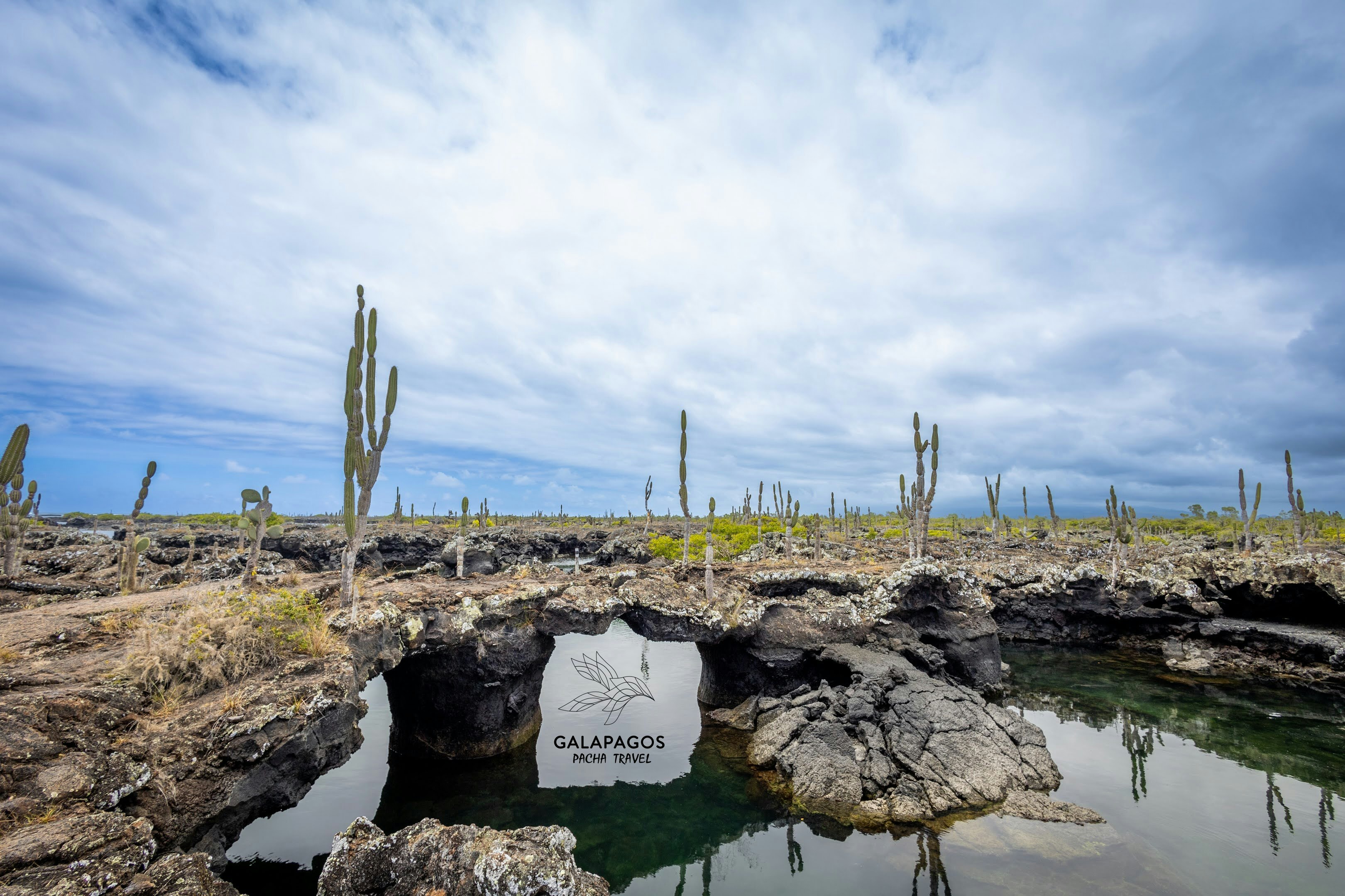 Snorkel Los Tuneles - Isabela - imagen #2