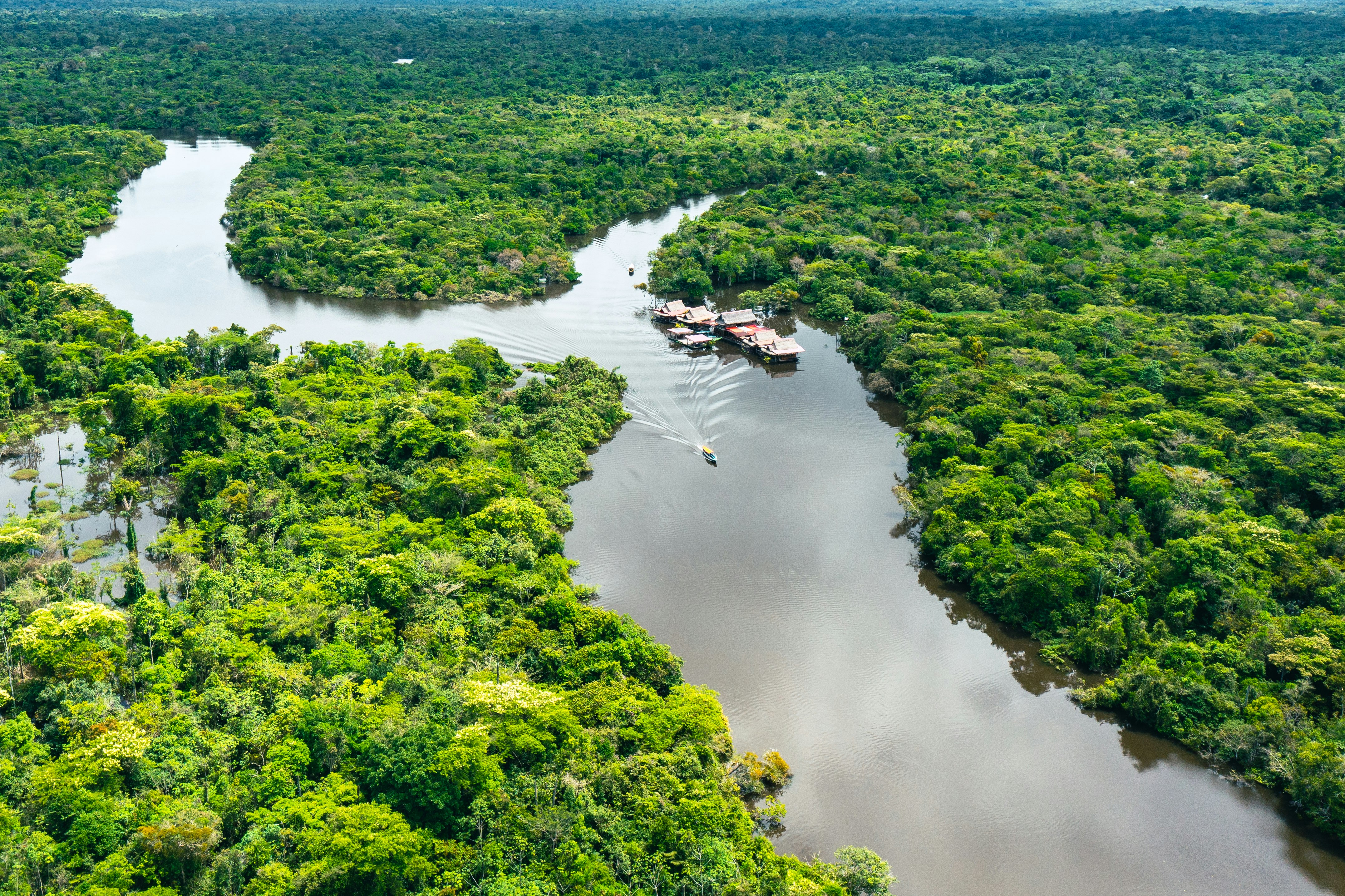 Lim-29 : Iquitos Jungle Adventure - 4 Days/3 Nights - imagen #2