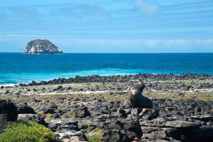 4 días en las Galápagos: las islas Isabela y Santa Cruz - imagen #11