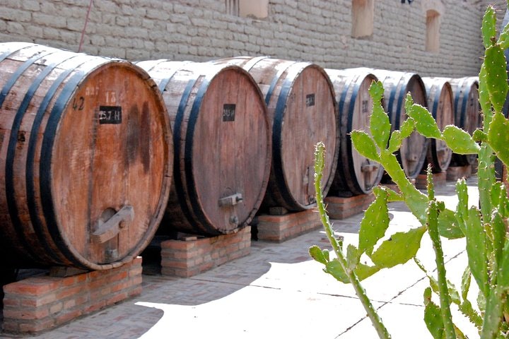 Cafayate Wine Trail Excursion: Explore Salta s Vineyards - imagen #3