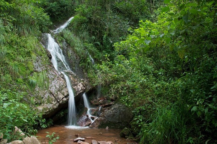 Yungas Half-Day Tour from Tucuman - imagen #2