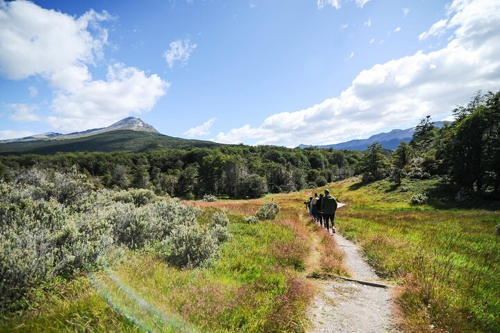 Half-Day Small-Group Tierra del Fuego National Park Tour - imagen #13