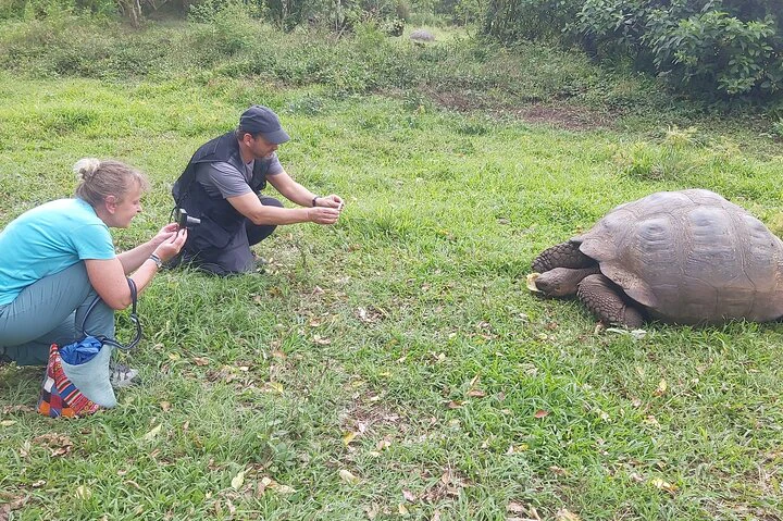 Galápagos: Excursión a Santa Cruz, 4 días - imagen #8