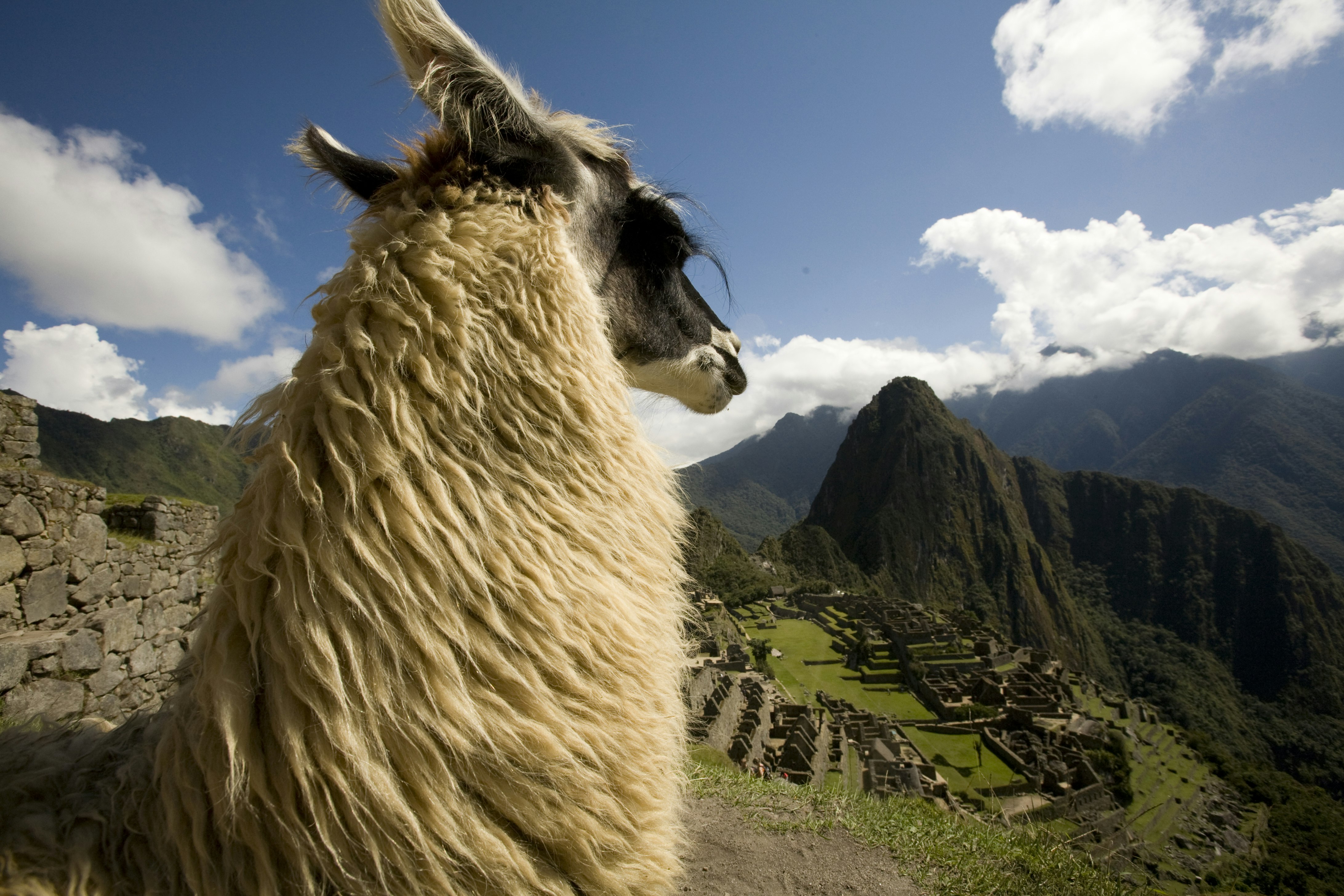 4-Day Cusco Capital of the Inca Empire, Sacred Valley & Machu Picchu - imagen #7