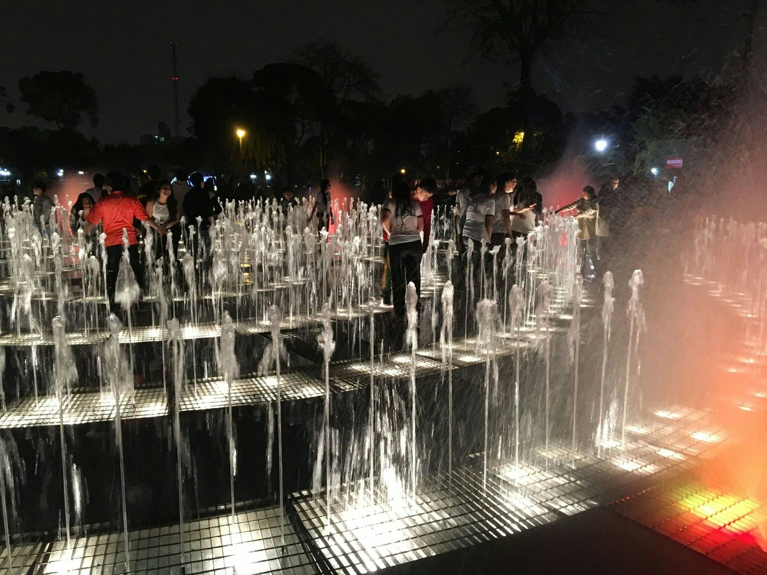 Larco Museum, Pisco Tavern & Magic Water Circuit Evening Tour - imagen #8