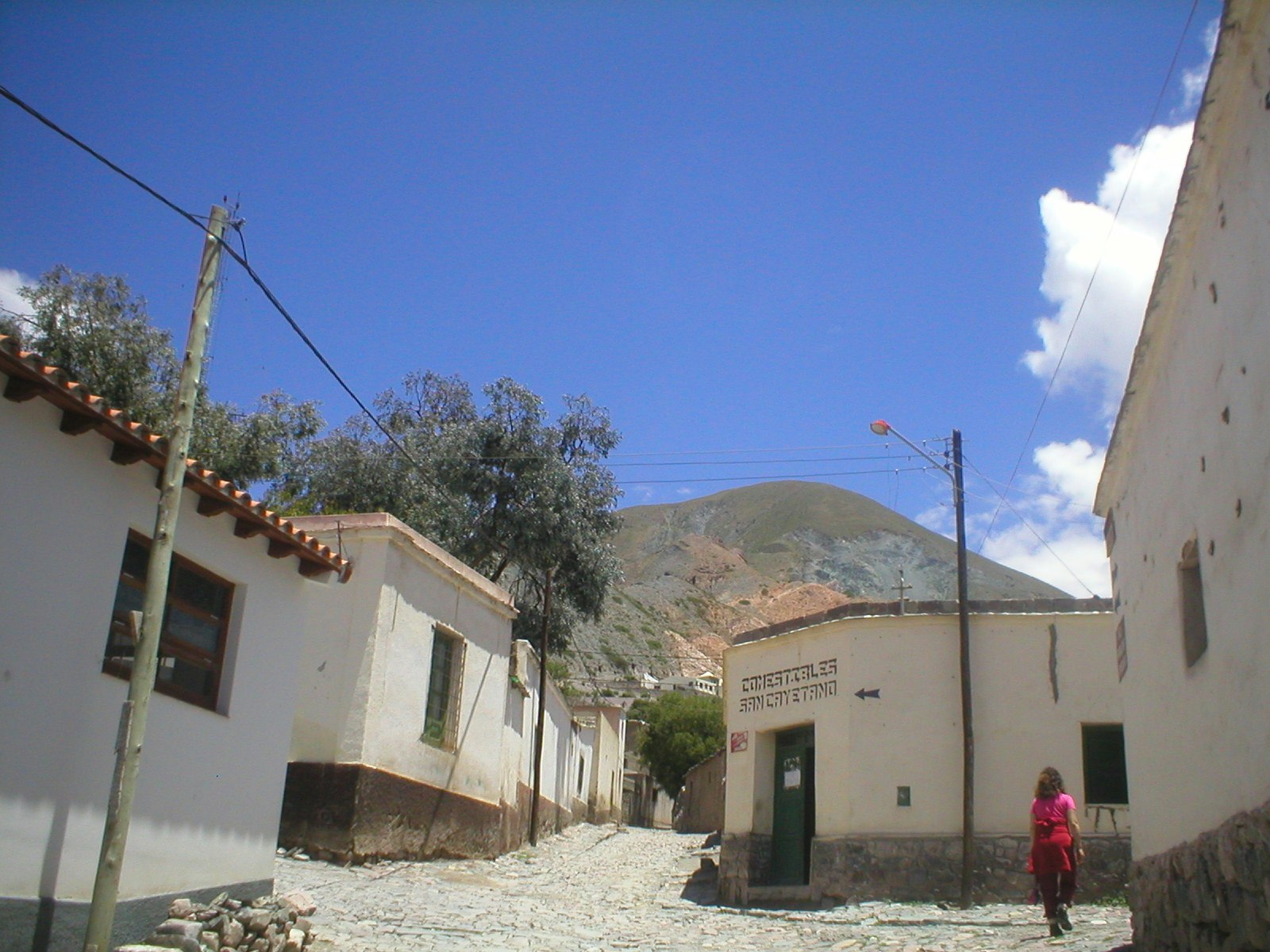 Humahuaca Gorge and Iruya 2 Days Journey from Salta - imagen #9