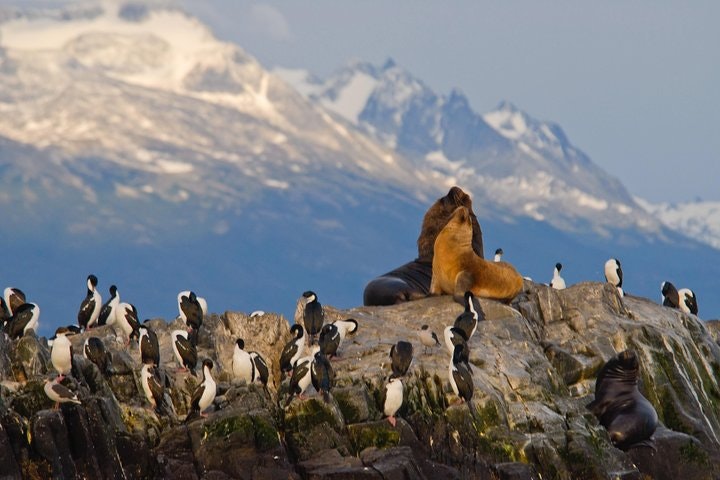 Beagle Channel Sailing Experience on a Catamaran - imagen #5
