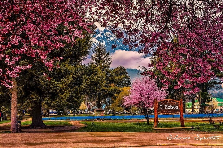 El Bolson Day Trip from Bariloche - imagen #10