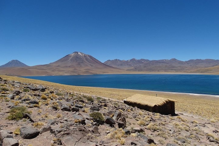 San Pedro de Atacama, Altiplanic Lagoons and Piedras Rojas - Full day - imagen #2