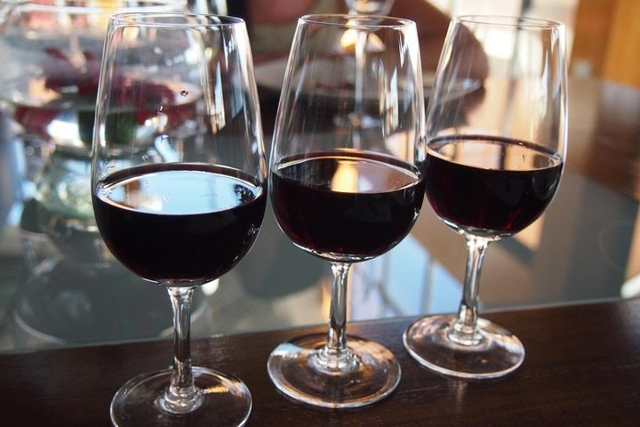 Private Wine Tasting and Vineyards Tour from Mendoza - imagen #3