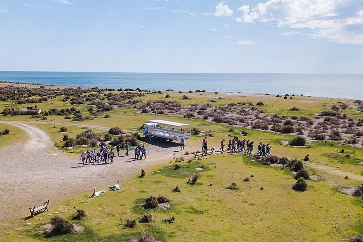 Estancia San Lorenzo: Home to the Largest Penguin Colony - imagen #7