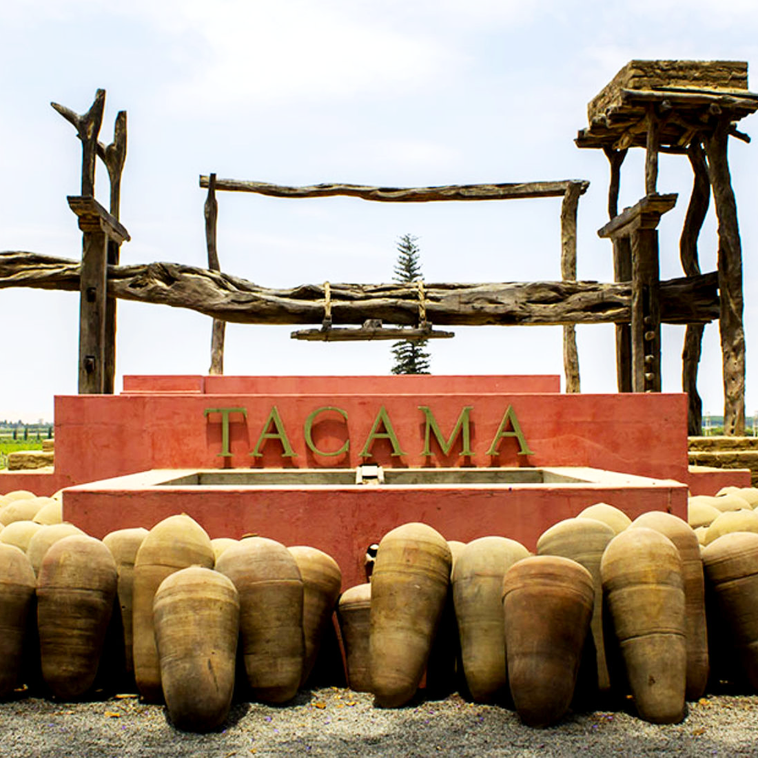 Ica-03 : Pisco and Wine Tasting Tour - Embarking on the Pisco Route - imagen #3